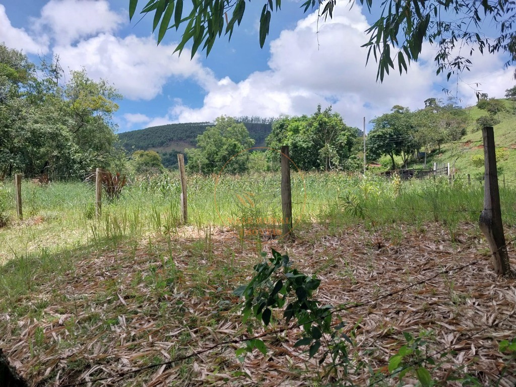 Sítio, 5 hectares - Foto 4