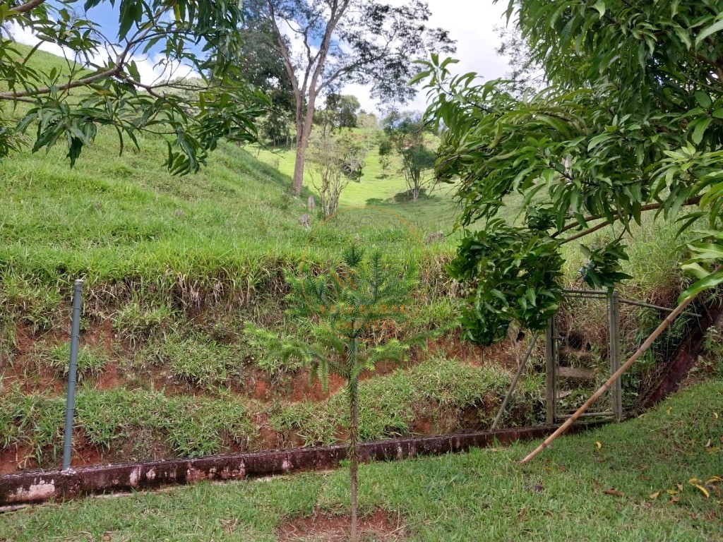 Sítio, 5 hectares - Foto 2