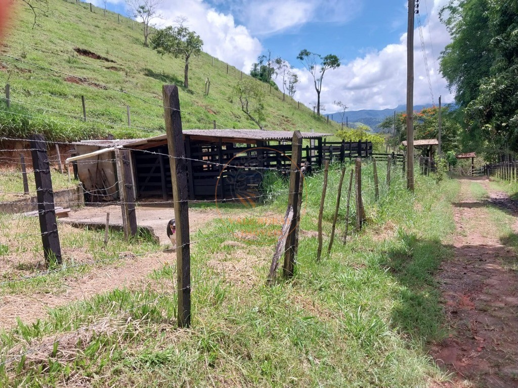 Sítio, 5 hectares - Foto 12