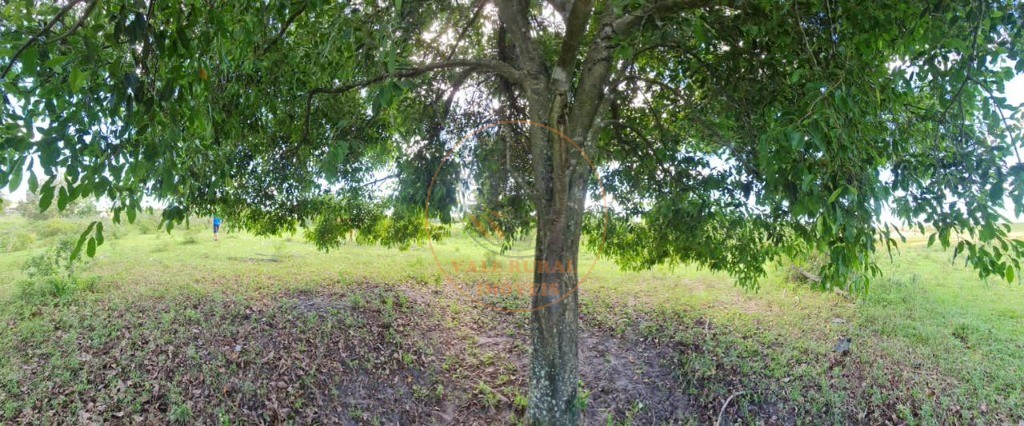 Fazenda, 52 m² - Foto 32