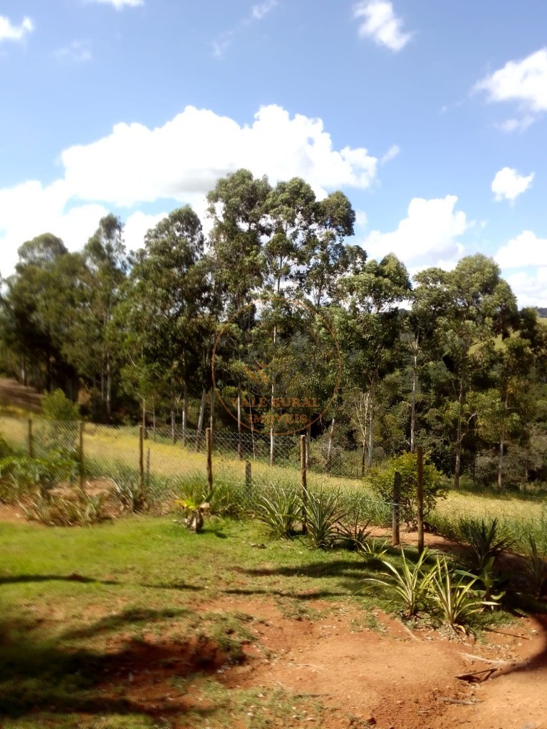 Chácara, 3 quartos, 1 hectares - Foto 6