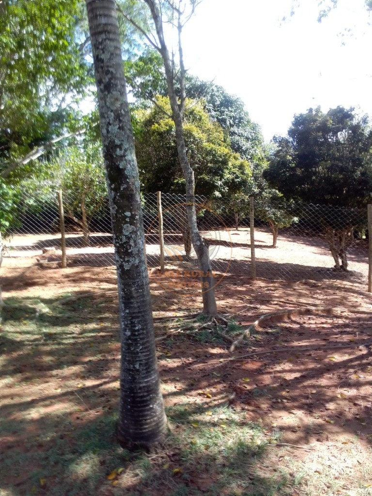 Chácara, 3 quartos, 1 hectares - Foto 12
