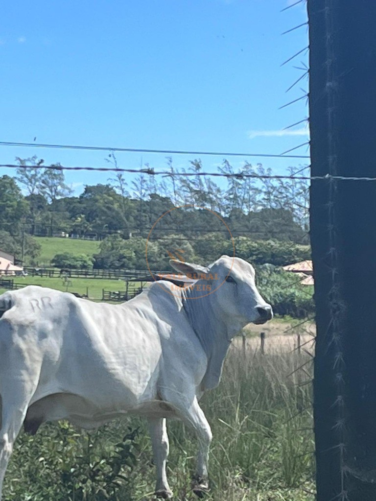 Fazenda, 52 m² - Foto 2