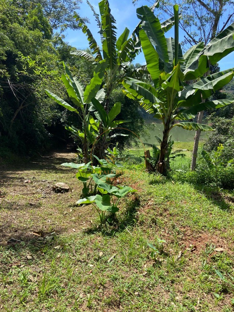 Chácara, 2 quartos, 5000 m² - Foto 3