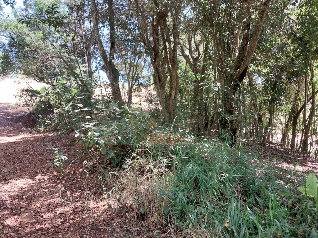 Chácara, 3 quartos, 1 hectares - Foto 13
