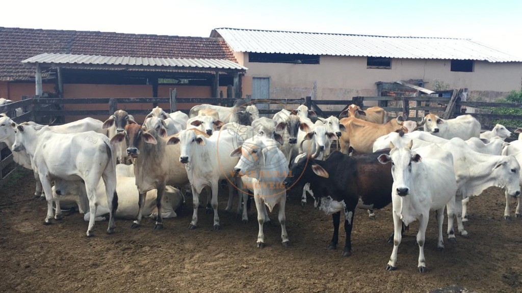 Fazenda, 52 m² - Foto 19