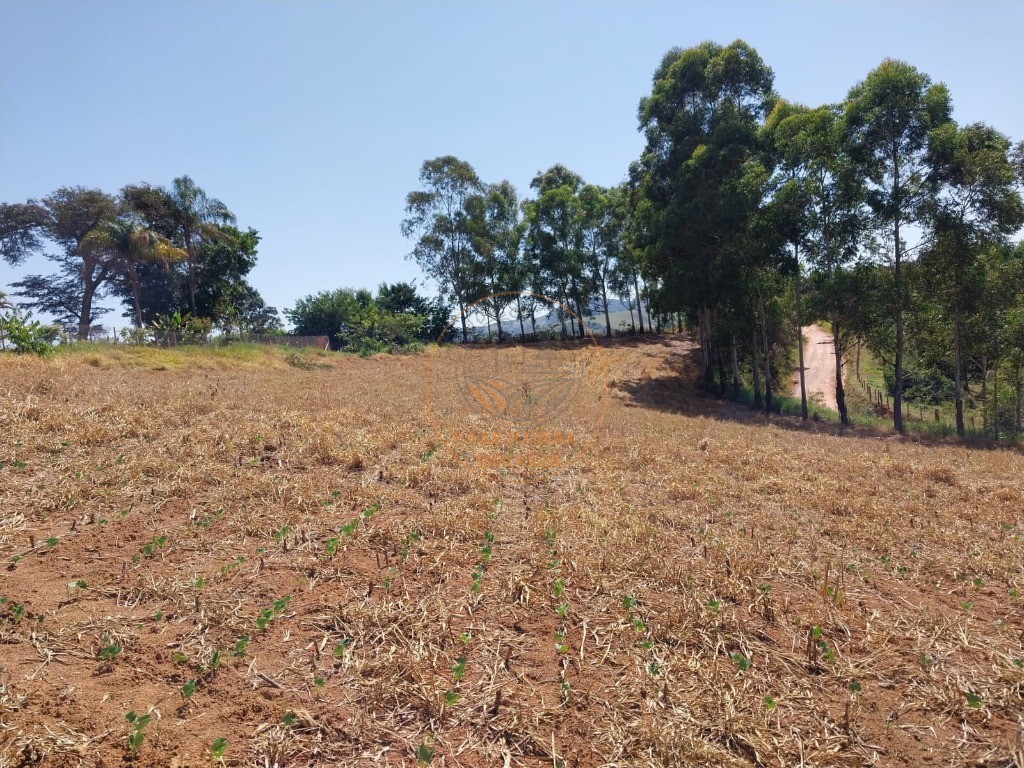 Chácara, 3 quartos, 1 hectares - Foto 20