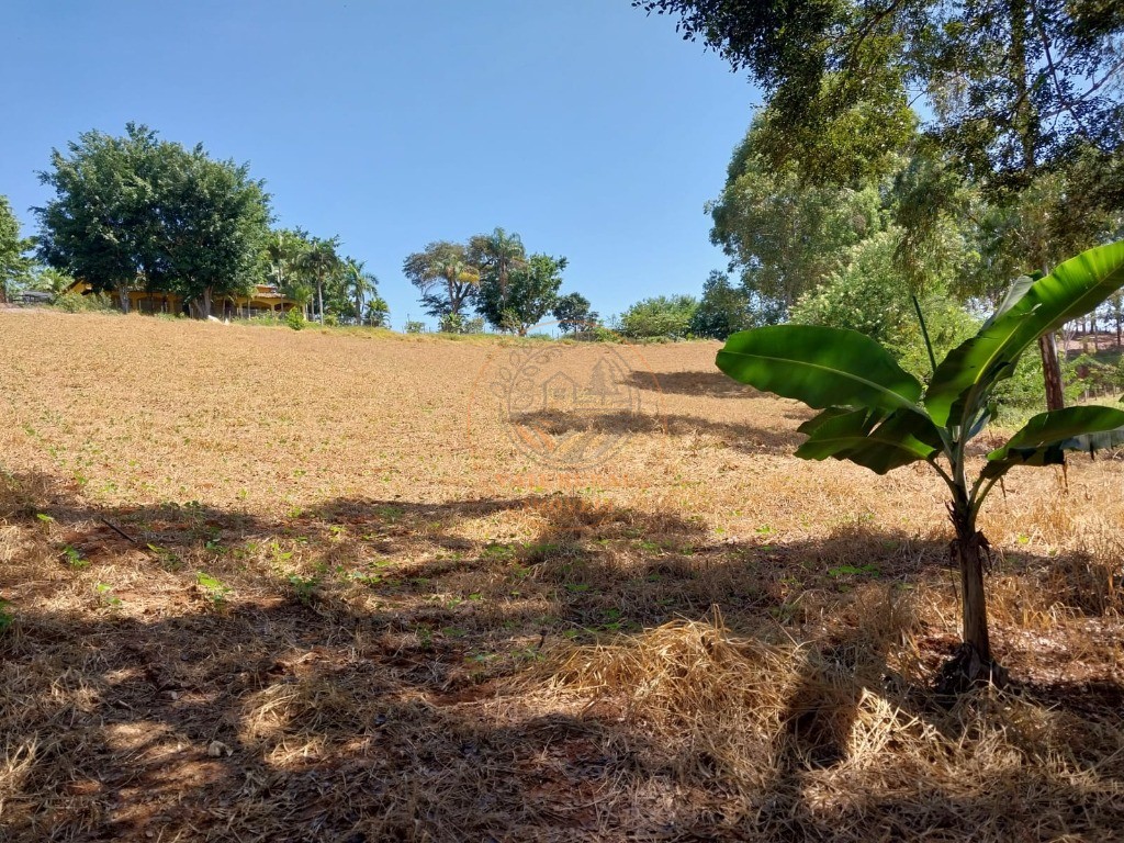 Chácara, 3 quartos, 1 hectares - Foto 15
