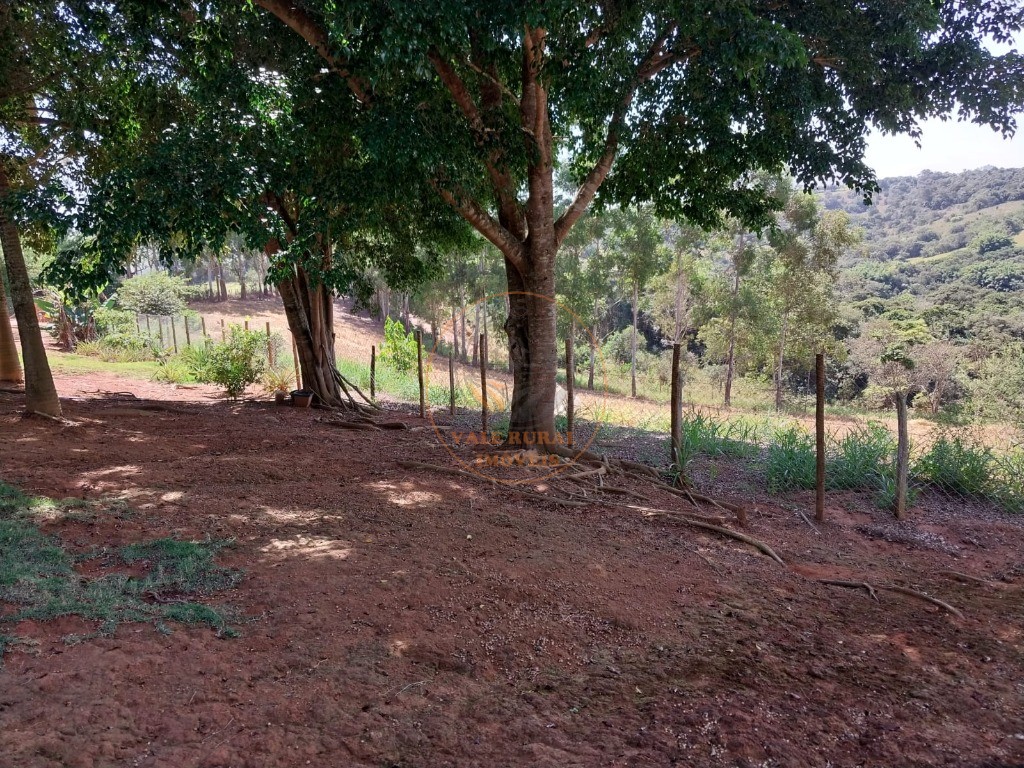 Chácara, 3 quartos, 1 hectares - Foto 21
