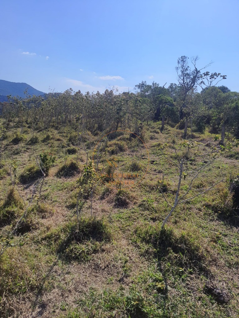 Fazenda - Foto 19
