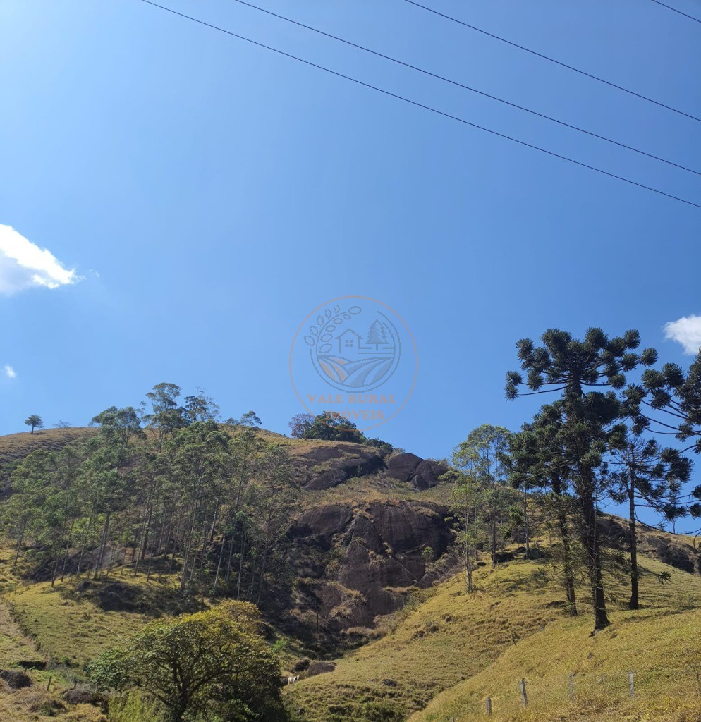 Fazenda - Foto 12