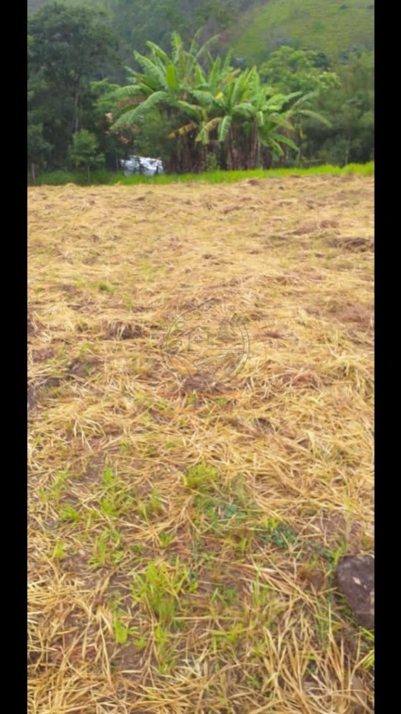 Chácara, 2 quartos, 1 hectares - Foto 3