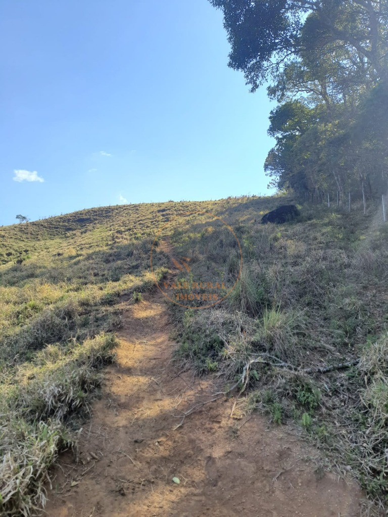 Fazenda - Foto 17