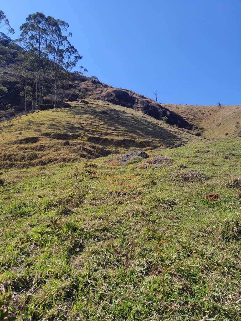 Fazenda - Foto 20