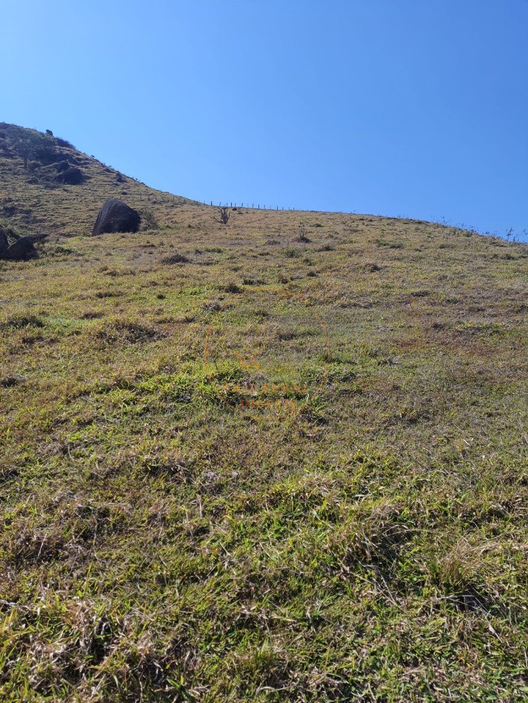 Fazenda - Foto 15