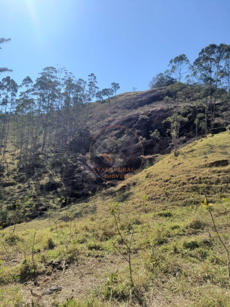 Fazenda - Foto 1