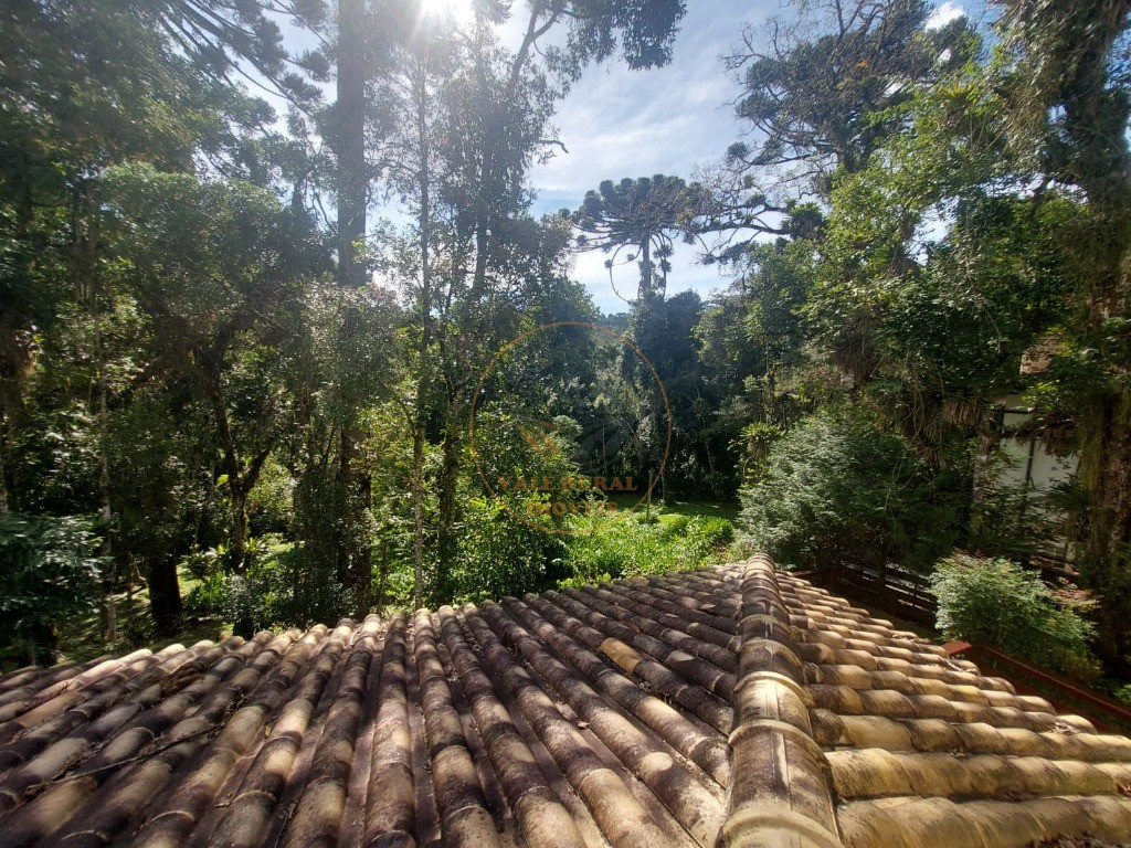 Casa, 4 quartos - Foto 6