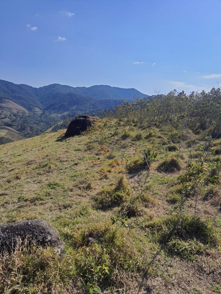 Fazenda - Foto 24