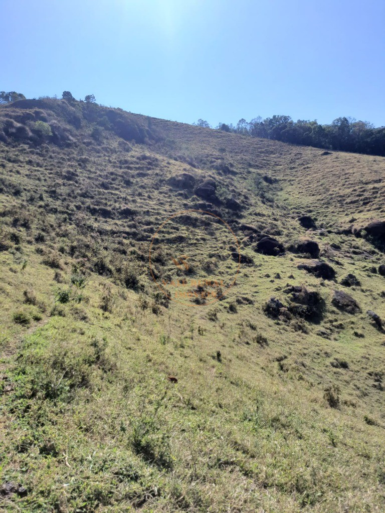 Fazenda - Foto 7