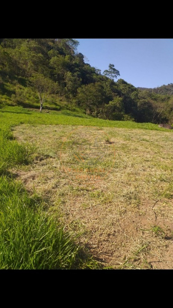 Chácara, 2 quartos, 1 hectares - Foto 4