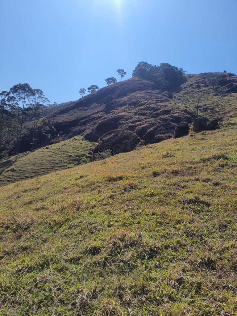 Fazenda - Foto 10