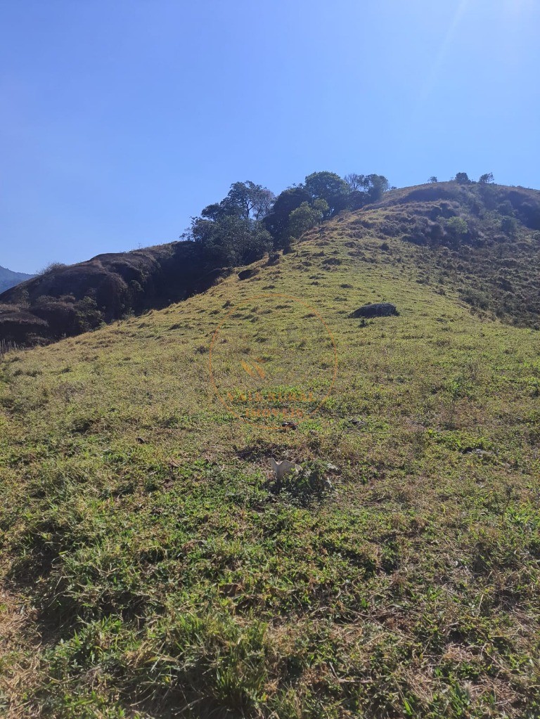 Fazenda - Foto 16