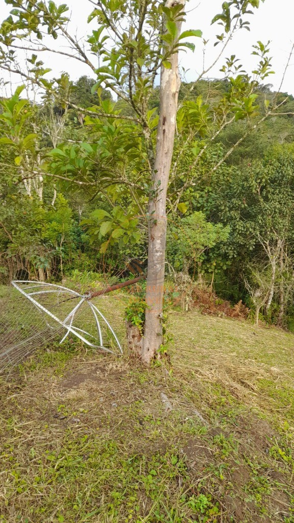 Terreno, 21 m² - Foto 62
