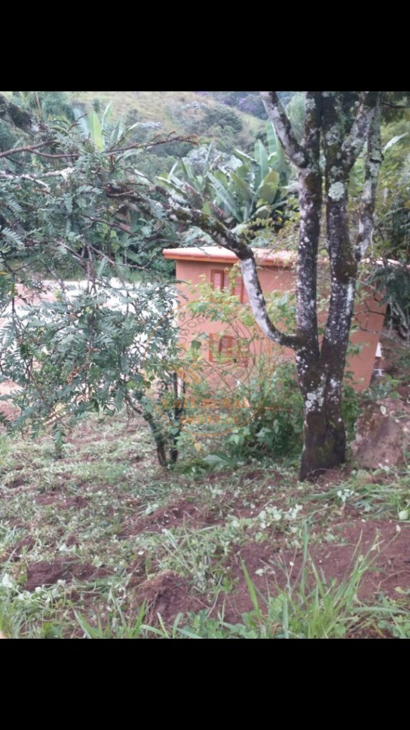 Chácara, 2 quartos, 1 hectares - Foto 6