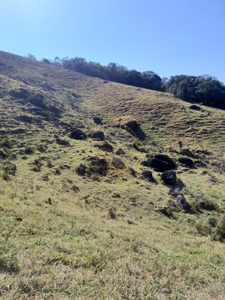 Fazenda - Foto 21