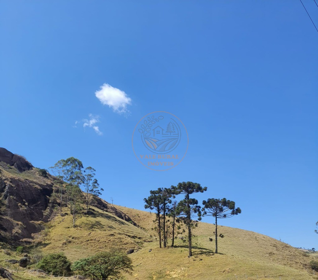 Fazenda - Foto 23