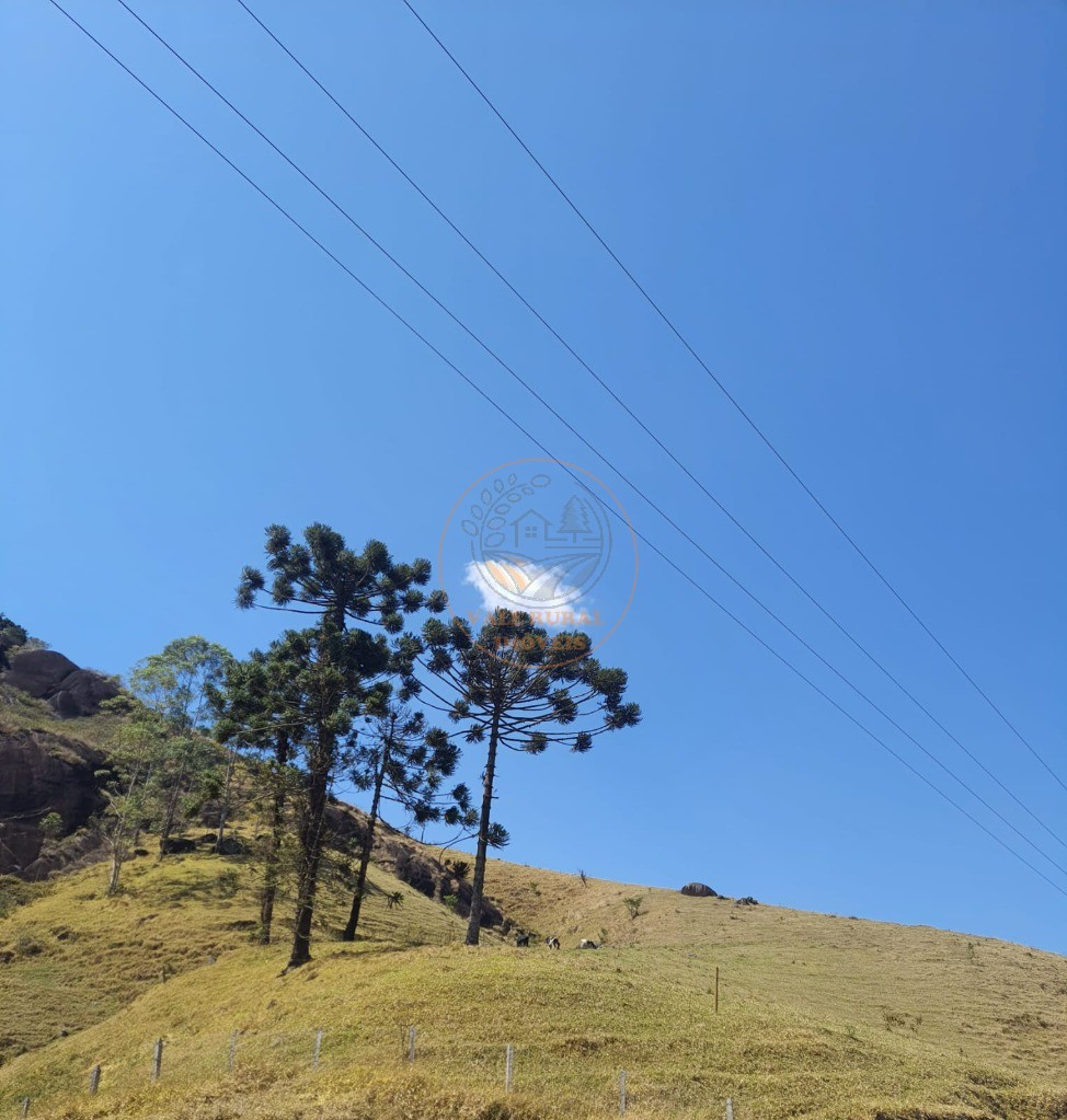 Fazenda - Foto 9