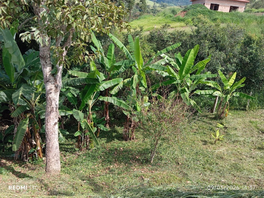 Chácara, 3 quartos - Foto 21