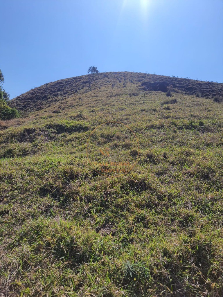 Fazenda - Foto 28