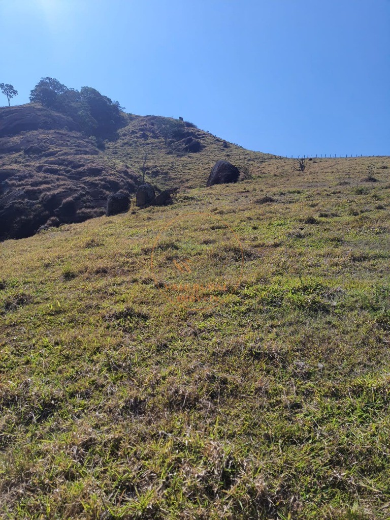 Fazenda - Foto 8