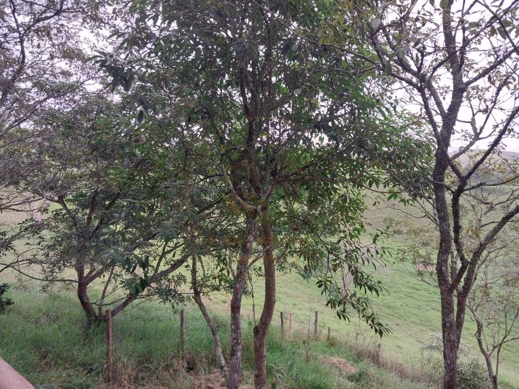 Chácara, 1 quarto - Foto 16