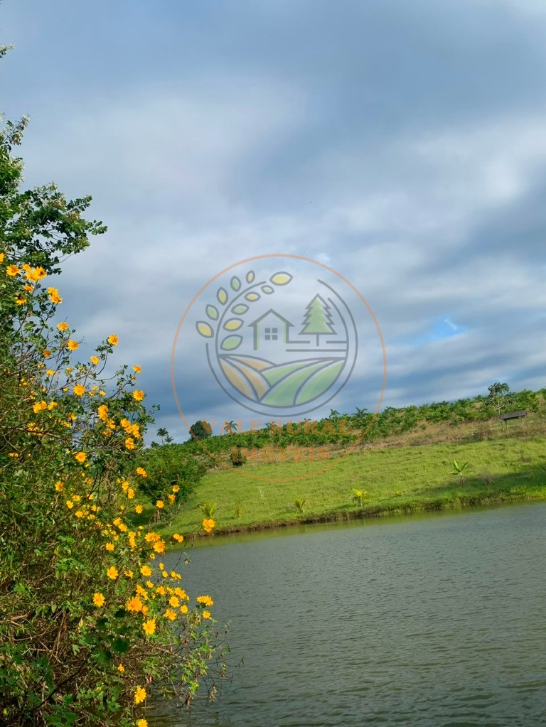 Fazenda - Foto 4
