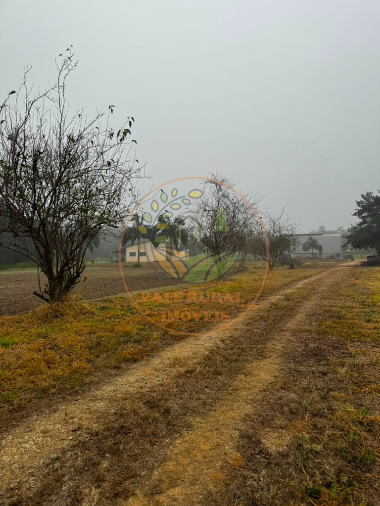 Fazenda - Foto 3