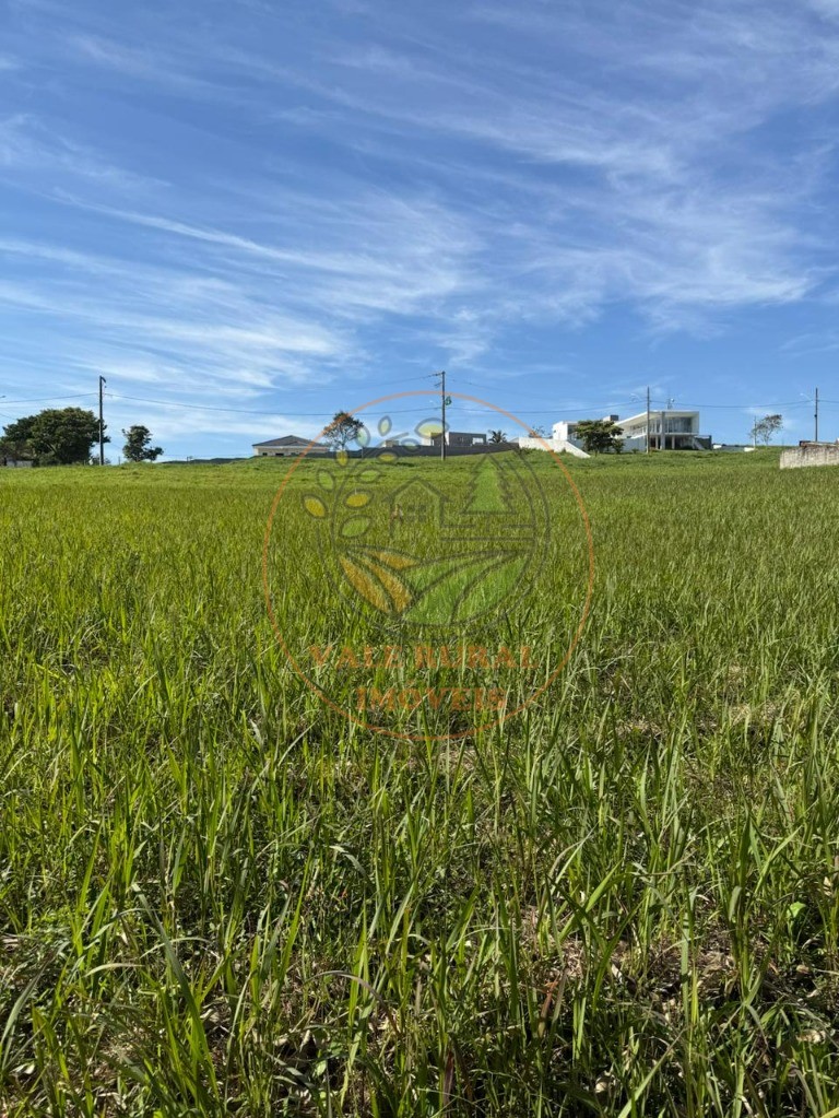 Terreno, 1411 m² - Foto 6