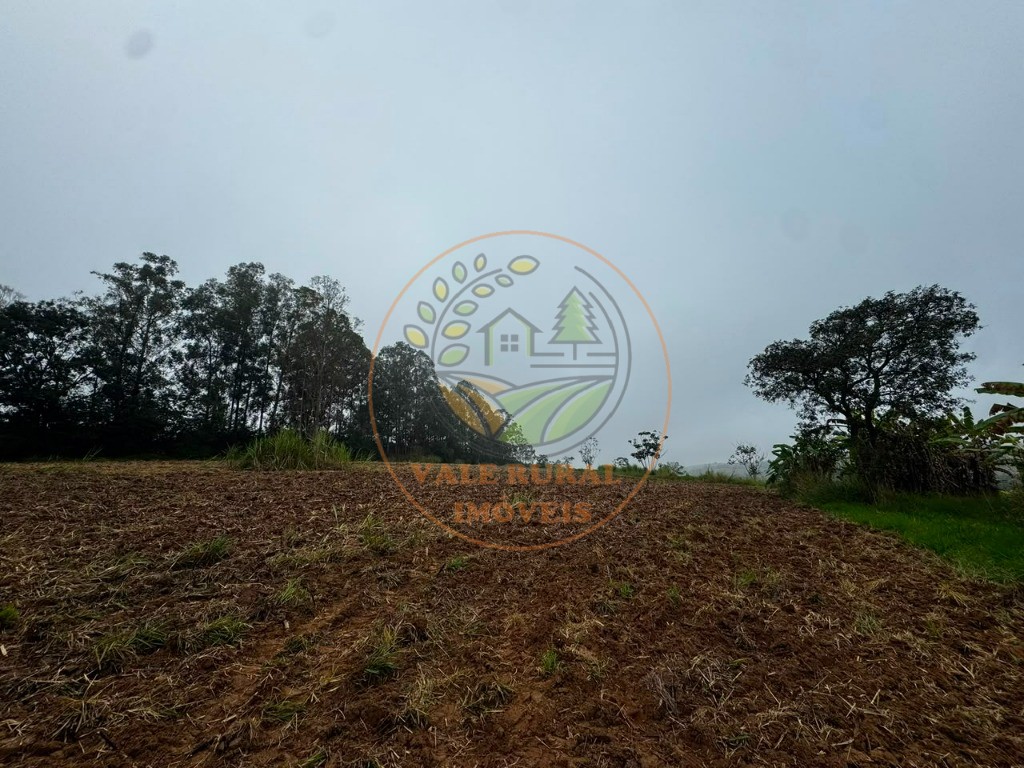 Fazenda - Foto 9