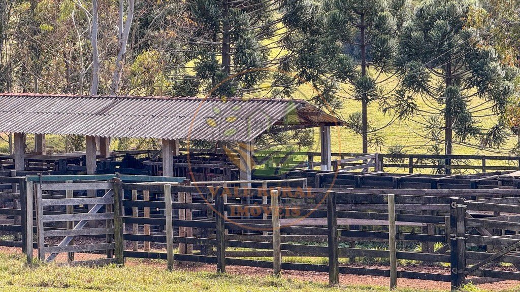 Fazenda, 4 quartos - Foto 45
