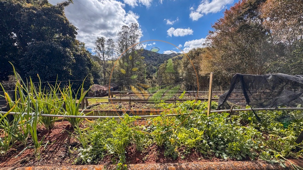 Fazenda, 4 quartos - Foto 103