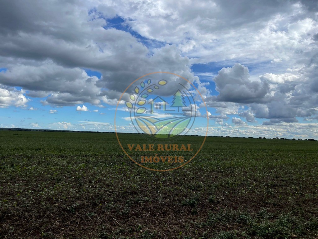 Fazenda - Foto 16