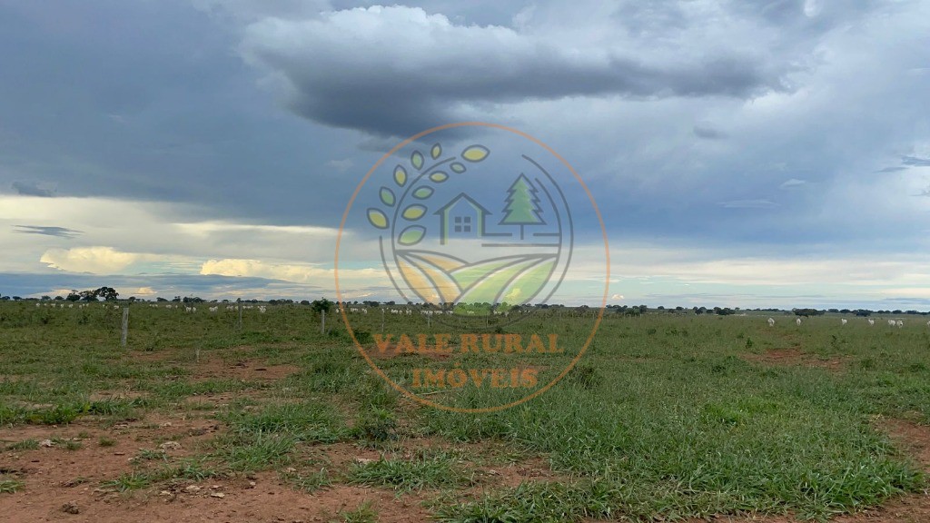 Fazenda - Foto 19