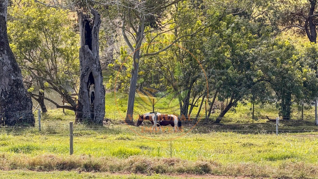 Fazenda, 4 quartos - Foto 44