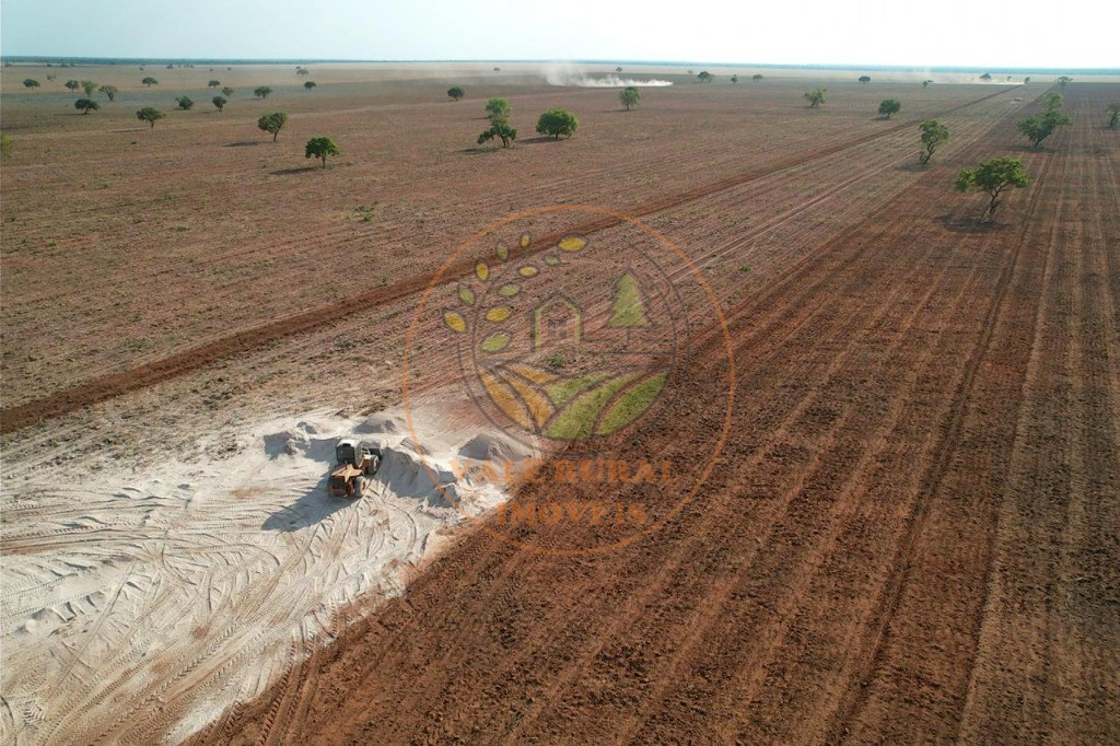 Fazenda - Foto 5
