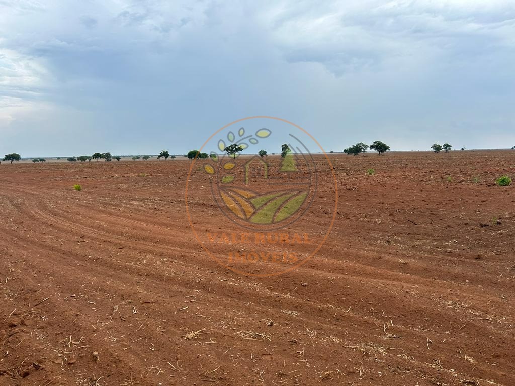 Fazenda - Foto 3