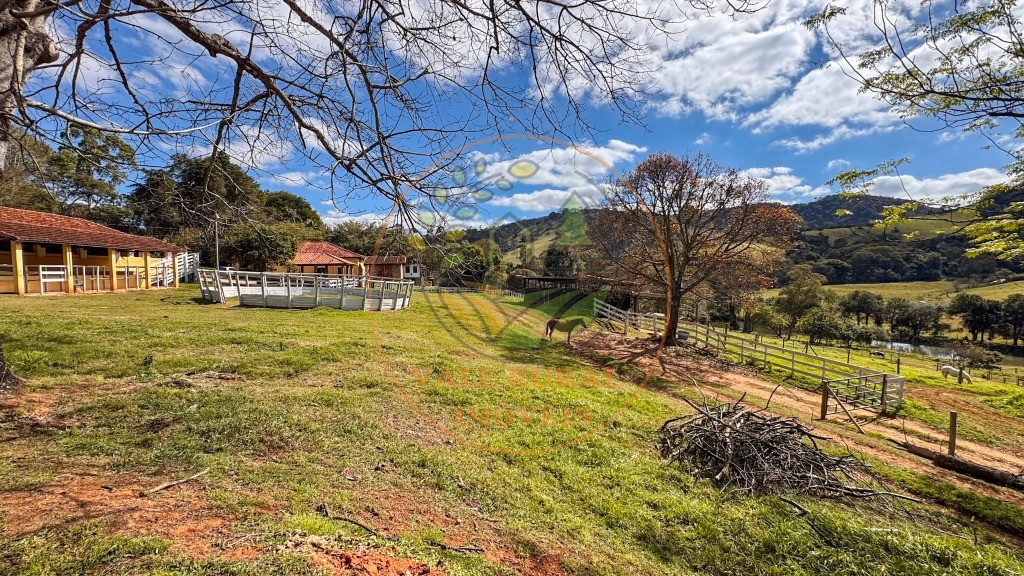Fazenda, 4 quartos - Foto 8
