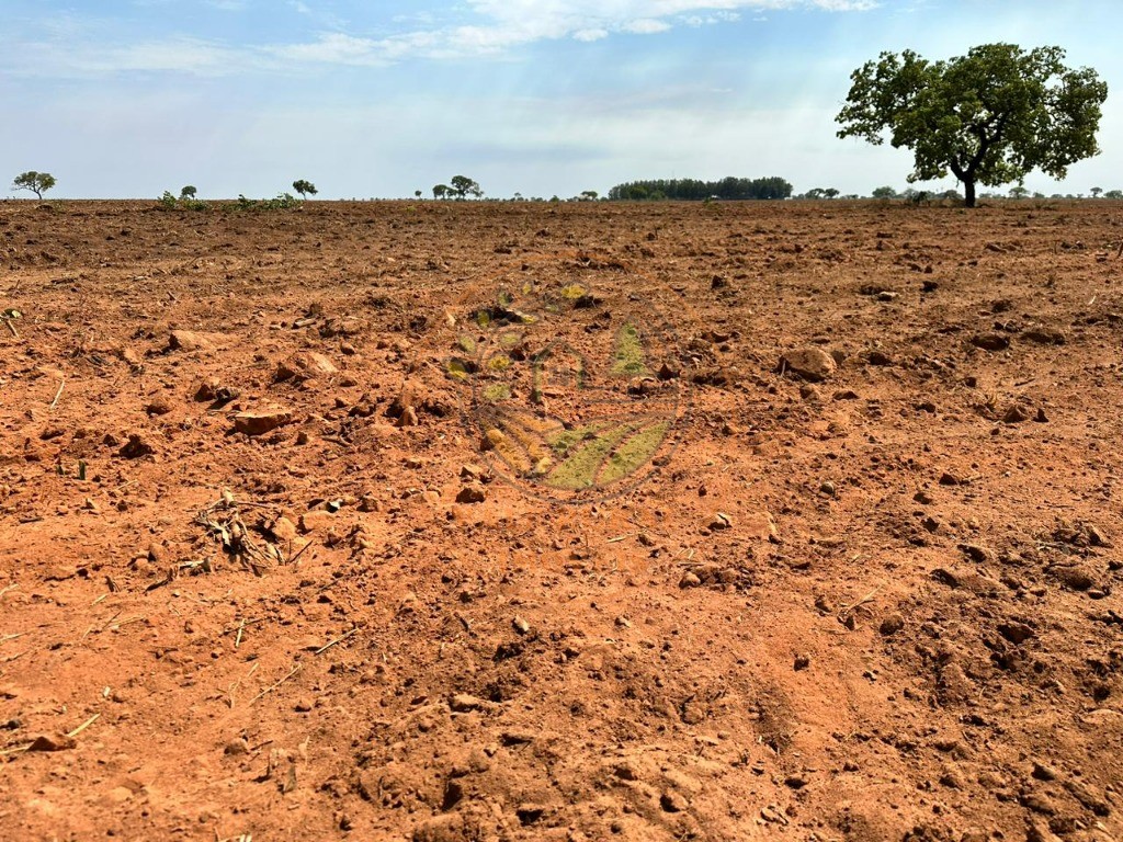 Fazenda - Foto 2