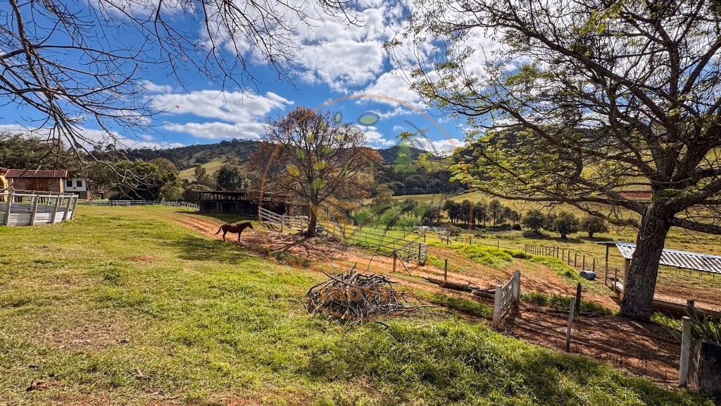 Fazenda, 4 quartos - Foto 73