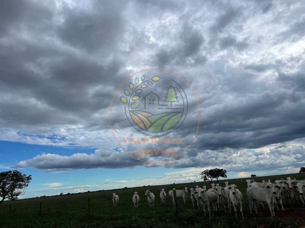 Fazenda - Foto 17